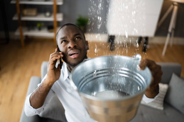 Best Flood restoration services  in Tower City, PA
