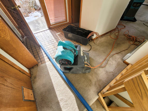 Carpet water damage restoration in Tower City, PA
