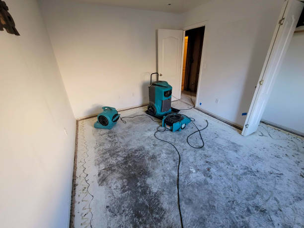 Best Water damage restoration cost  in Tower City, PA