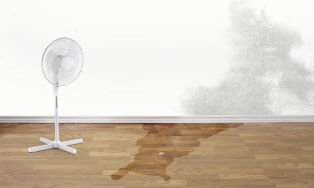 Best Carpet water damage restoration  in Tower City, PA