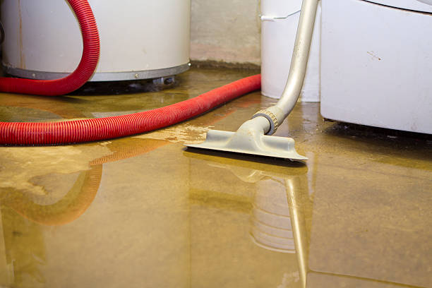 Best Mold removal after water damage  in Tower City, PA