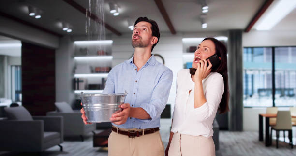 Best Water damage cleanup near me  in Tower City, PA