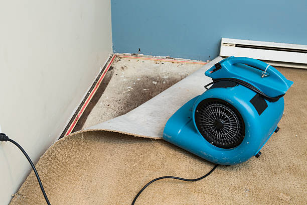 Best Sewage cleanup and water damage restoration  in Tower City, PA